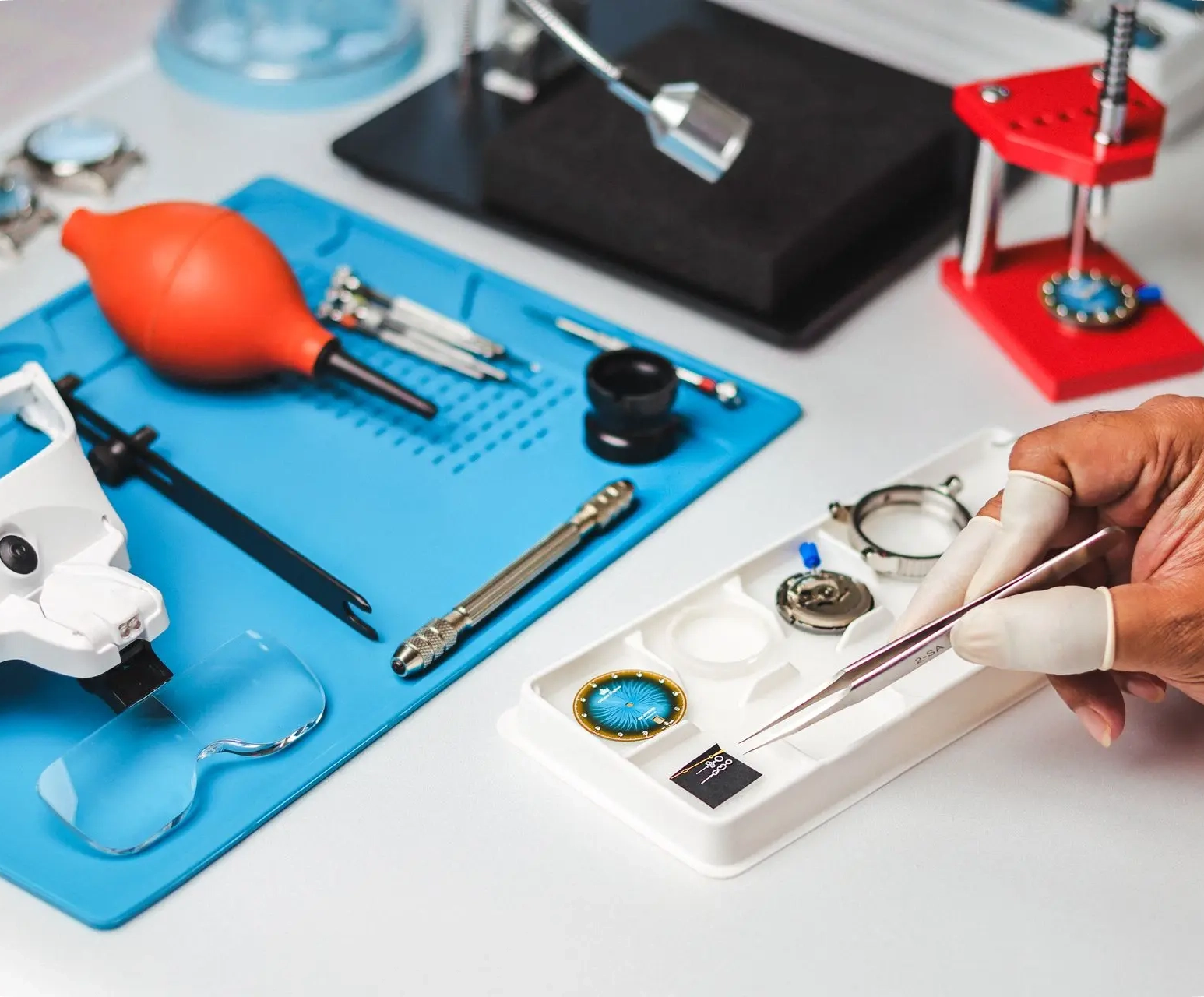 How to Choose the Perfect Watch for Everyday Wear